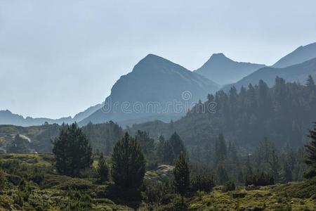 风景关于贝戈维萨河山谷,皮林山,保加利亚