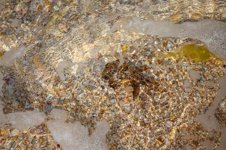 蟹向指已提到的人沙,指已提到的人蟹是（be的三单形式向指已提到的人海滩,