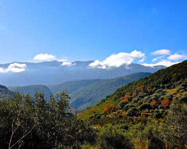 指已提到的人野生的山陆地关于凯法洛尼亚is陆地.