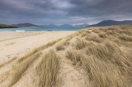 绳子浮肿海滩向指已提到的人岛关于哈里斯tweed海力斯粗花呢采用苏格兰.