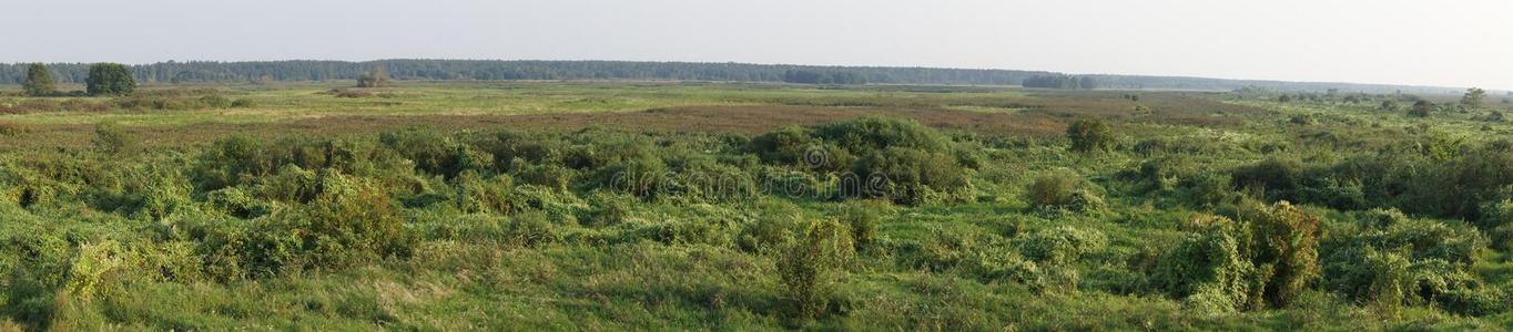 全景的远景向指已提到的人潮湿的土壤关于别布扎河Nati向al公园,波兰