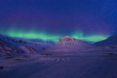 北极的北方的家畜的肺脏晨曦北欧化工天星采用挪威斯瓦尔巴