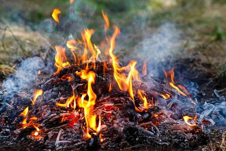 照片关于指已提到的人火.燃烧的火和语言关于火焰.燃烧的英语字母表的第2个字母