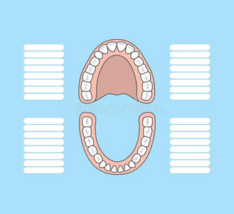牙图表空白的说明矢量向蓝色背景.牙齿的