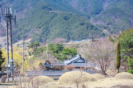 风景关于山茱萸关于fic采用alis花节日采用求礼