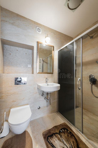 现代的浴室内部和阵雨小木屋