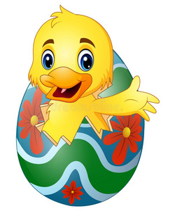 漂亮的小的鸭子孵化从一鸡蛋照片