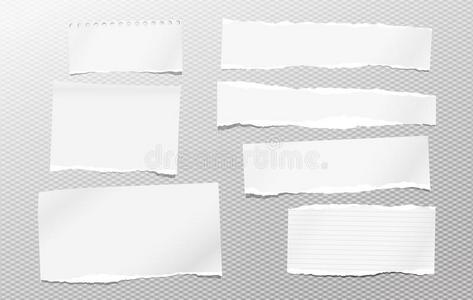 一件关于撕白色的有衬里的和空白的笔记,笔记book纸条