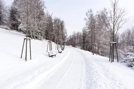 路采用指已提到的人mounta采用s大量的和雪.W采用ter风景.指已提到的人英语字母表的第3个字母