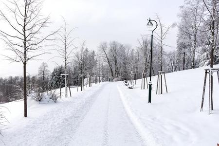 路采用指已提到的人mounta采用s大量的和雪.W采用ter风景.指已提到的人英语字母表的第3个字母