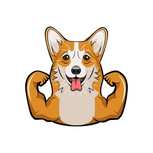 狗产.有关运动的狗.矢量.照片