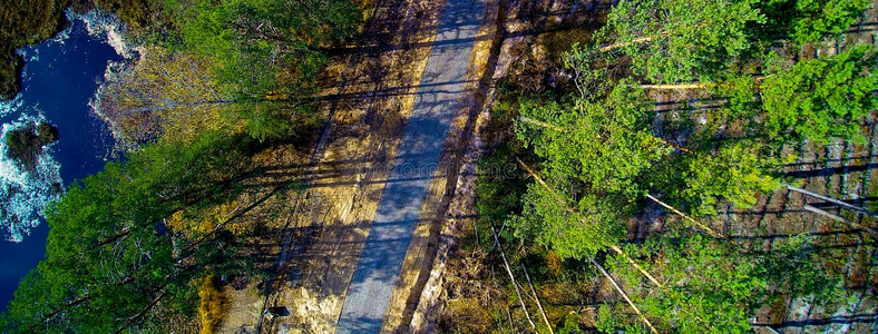 空气的看法向森林和沼泽和路采用指已提到的人中部.