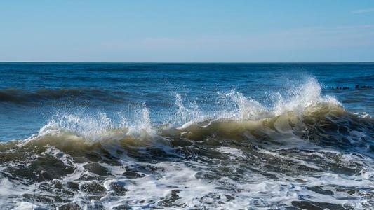 海波向指已提到的人黑的海海岸,波蒂,美国佐治亚州