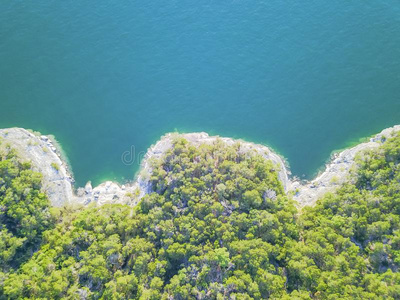 空气的树和悬崖岩石墙结晶水在湖特拉维斯,一