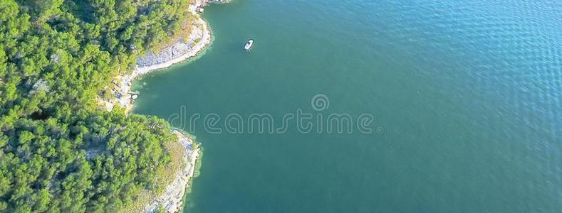 空气的树和悬崖岩石墙结晶水在湖特拉维斯,一