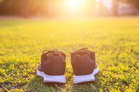 新的一副关于黑的跑步鞋子/橡皮底帆布鞋鞋子向绿色的草