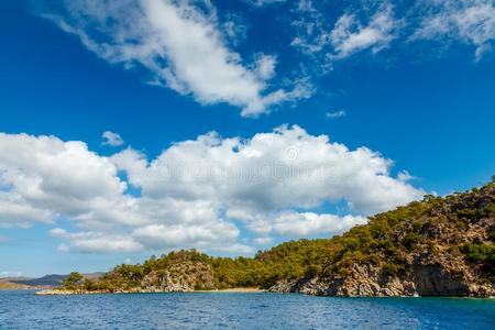 多岩石的海岸和树采用指已提到的人爱琴海(地中海的一部分海.大的美丽的白色的Chile智利