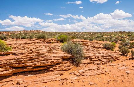 多石头的黄色的沙漠关于亚利桑那州.腐蚀关于砂岩.西南地区