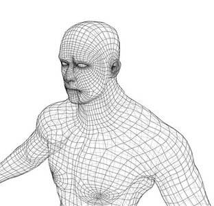 金属丝框架运动员身体向白色的背景