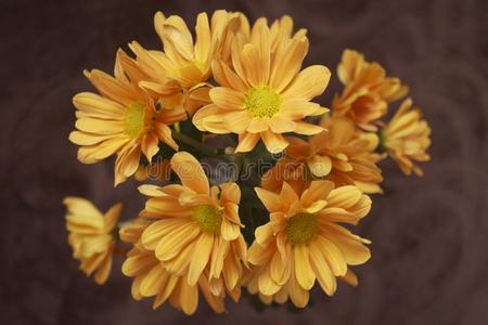 Ow图片 Ow素材 Ow插画 摄图新视界