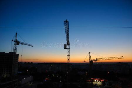 塔鹤轮廓在建筑物地点