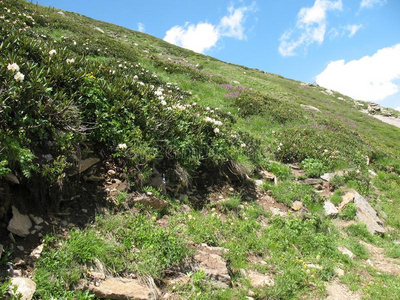 高加索山脉风景山雪岩石天水平云旅游岩石