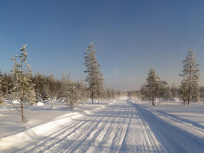 冬风景.下雪的田和冷冻的树