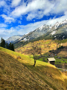 春季风景在之间坏的霍夫加斯汀和坏的加斯坦,奥地利