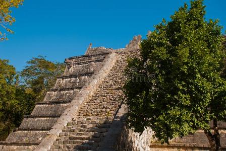 古代的玛雅人的金字塔采用指已提到的人老的城镇.破坏金字塔.奇奇