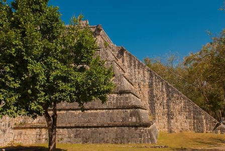 古代的玛雅人的金字塔和级别.指已提到的人老的毁灭的城市关于指已提到的人aux.可以