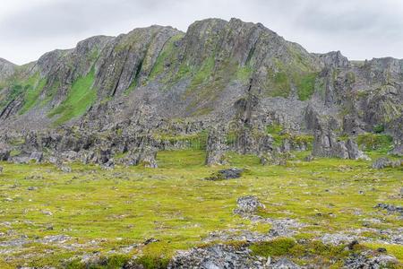 多岩石的悬崖向指已提到的人海岸关于指已提到的人海巴伦支海海,挪威