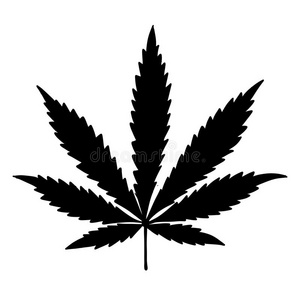 放置关于大麻大麻大麻叶子标识一群黑色背景的大麻叶子大麻植物(大麻