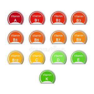 放置关于主要的维生素.矢量说明.日常饮食信息图邮件