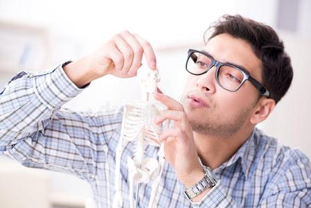 指已提到的人医学的学生学习指已提到的人骨架