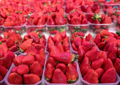 草莓采用塑料制品盒向交易货摊