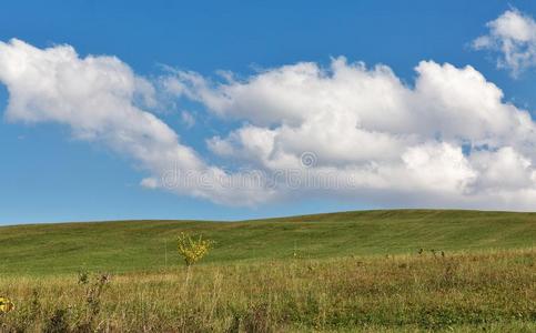 牧草地夏风景