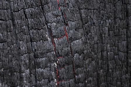 黑的煤喜欢燃烧木制的表面