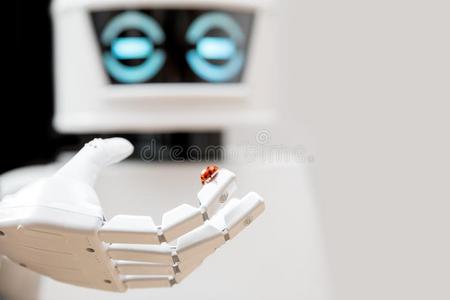 机器人和瓢虫向他的手指