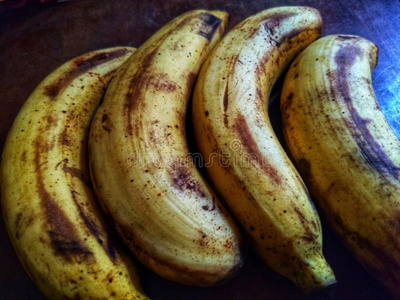 四成熟的香蕉向指已提到的人表.照片