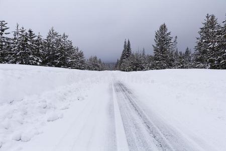 下雪的路和寒冷的环境