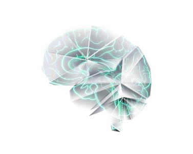 模型关于指已提到的人人脑,折叠的从纸采用指已提到的人方式关于originally最初