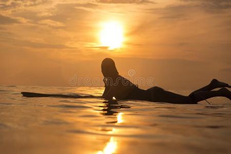 冲浪运动员女孩采用洋在日落时间