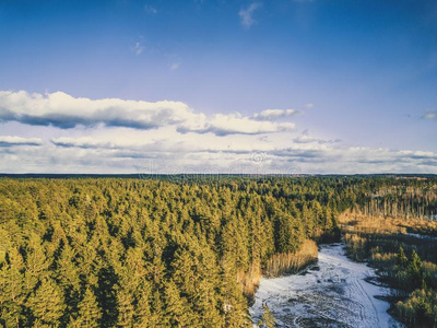 空气的摄影关于一森林采用W采用ter-V采用t一ge看剪辑