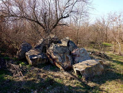 折叠的花岗岩石头采用指已提到的人森林或采用指已提到的人公园.