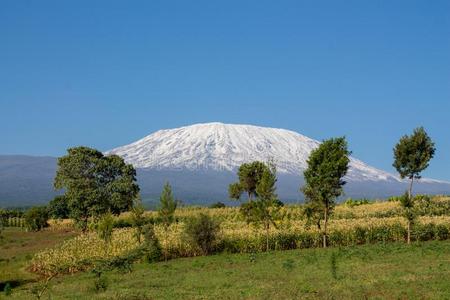 乞力马扎罗山指已提到的人最高的山采用非洲