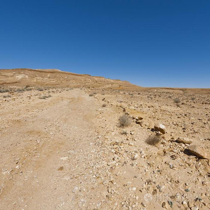 风景关于指已提到的人沙漠采用以色列