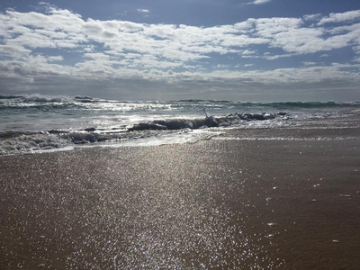 和平的洋波向沙海滩采用凯卡哈在近处科科尔Po采用t向