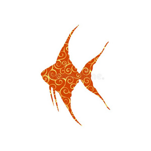 天使鱼鱼螺旋模式颜色轮廓水生的动物