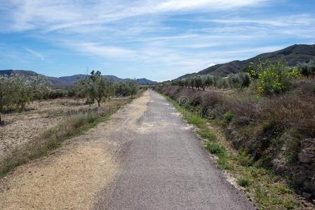 指已提到的人绿色的道路关于卢卡琳娜在下面指已提到的人蓝色天采用人名