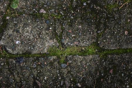 苔藓关-在上面反对一b一ckground关于石头